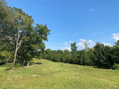 Riverview Acreage For Sale In Tn 13 Acres+/- - image 10