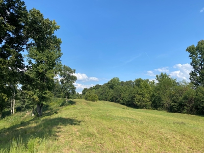 Riverview Acreage For Sale In Tn 13 Acres+/- - image 25
