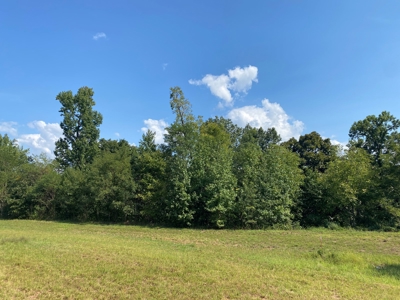 Riverview Acreage For Sale In Tn 13 Acres+/- - image 24