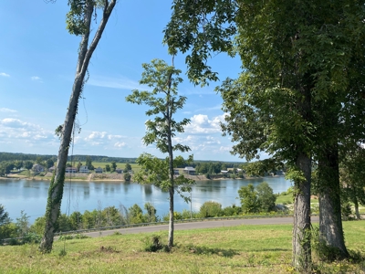 Riverview Acreage For Sale In Tn 13 Acres+/- - image 19