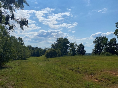 Riverview Acreage For Sale In Tn 13 Acres+/- - image 17