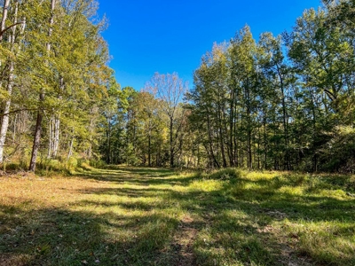 450 Acres Hunting Land + Camp for Sale in Wilkinson Co., MS - image 24