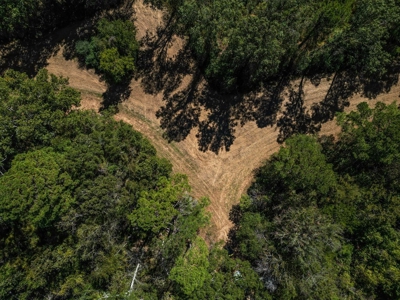 450 Acres Hunting Land + Camp for Sale in Wilkinson Co., MS - image 18