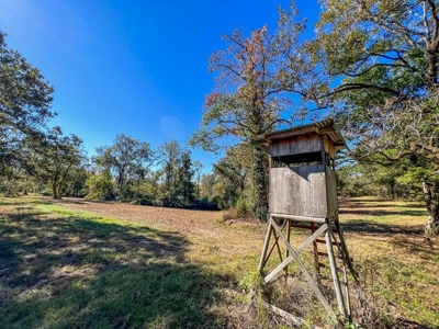 450 Acres Hunting Land + Camp for Sale in Wilkinson Co., MS