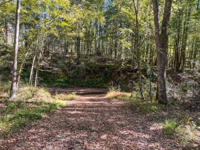 450 Acres Hunting Land + Camp for Sale in Wilkinson Co., MS - image 31
