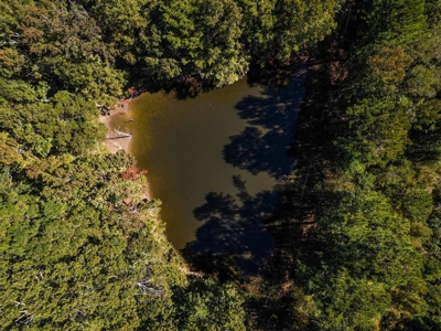 450 Acres Hunting Land + Camp for Sale in Wilkinson Co., MS - image 19