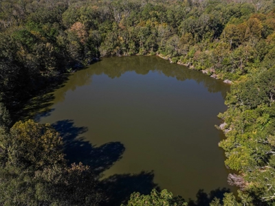 450 Acres Hunting Land + Camp for Sale in Wilkinson Co., MS - image 11