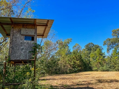 450 Acres Hunting Land + Camp for Sale in Wilkinson Co., MS - image 41