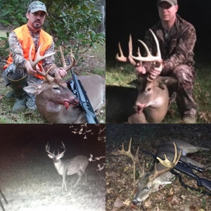 450 Acres Hunting Land + Camp for Sale in Wilkinson Co., MS - image 2