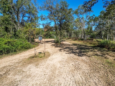 450 Acres Hunting Land + Camp for Sale in Wilkinson Co., MS - image 13