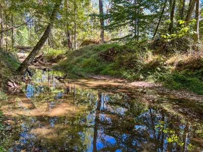 450 Acres Hunting Land + Camp for Sale in Wilkinson Co., MS - image 38