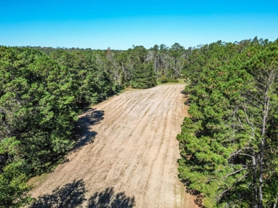 450 Acres Hunting Land + Camp for Sale in Wilkinson Co., MS - image 10