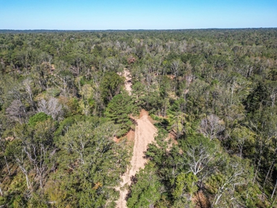 450 Acres Hunting Land + Camp for Sale in Wilkinson Co., MS - image 12