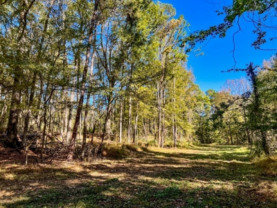 450 Acres Hunting Land + Camp for Sale in Wilkinson Co., MS - image 23