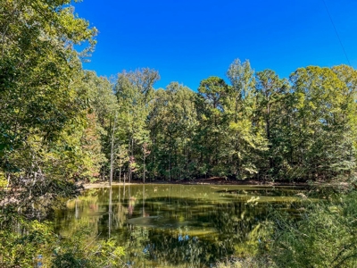 450 Acres Hunting Land + Camp for Sale in Wilkinson Co., MS - image 43