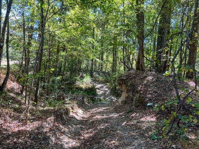 450 Acres Hunting Land + Camp for Sale in Wilkinson Co., MS - image 35