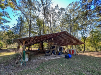 450 Acres Hunting Land + Camp for Sale in Wilkinson Co., MS - image 29