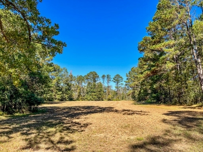 450 Acres Hunting Land + Camp for Sale in Wilkinson Co., MS - image 26