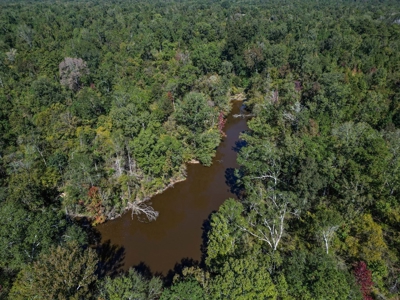 450 Acres Hunting Land + Camp for Sale in Wilkinson Co., MS - image 17
