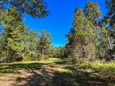 450 Acres Hunting Land + Camp for Sale in Wilkinson Co., MS - image 25