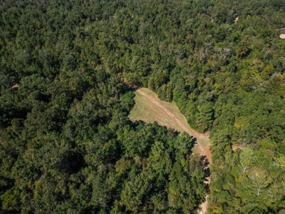 450 Acres Hunting Land + Camp for Sale in Wilkinson Co., MS - image 16