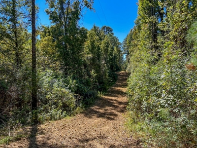 450 Acres Hunting Land + Camp for Sale in Wilkinson Co., MS - image 42