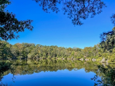 450 Acres Hunting Land + Camp for Sale in Wilkinson Co., MS - image 28