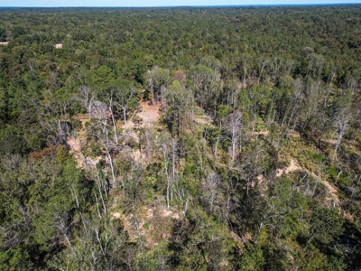 450 Acres Hunting Land + Camp for Sale in Wilkinson Co., MS - image 15
