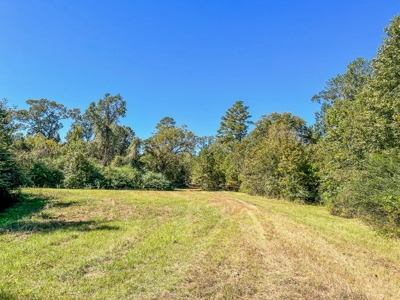 450 Acres Hunting Land + Camp for Sale in Wilkinson Co., MS - image 40