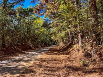 450 Acres Hunting Land + Camp for Sale in Wilkinson Co., MS - image 45
