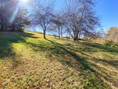 Sweet Home for Sale in Willis VA! - image 25