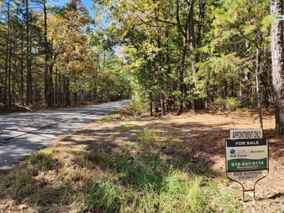 Wister Lake Cabin & 11.2 Acres - Wildlife Management Area - image 4