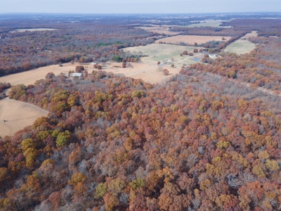 Hunting Property For Sale St. Clair County, MO - image 11