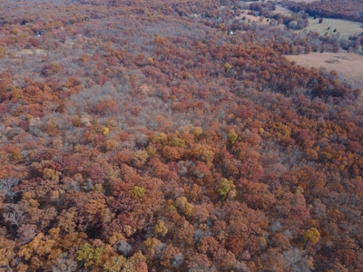 Hunting Property For Sale St. Clair County, MO - image 7