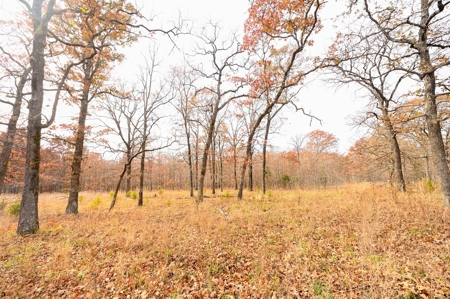Hunting Property For Sale St. Clair County, MO - image 28
