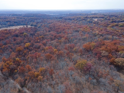 Hunting Property For Sale St. Clair County, MO - image 16