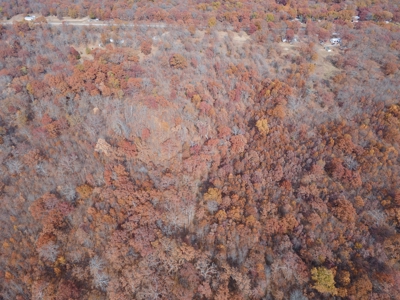 Hunting Property For Sale St. Clair County, MO - image 14