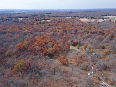 Hunting Property For Sale St. Clair County, MO - image 15