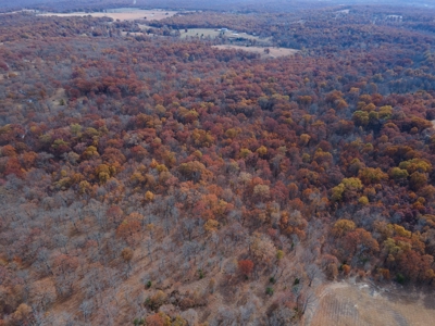 Hunting Property For Sale St. Clair County, MO - image 5