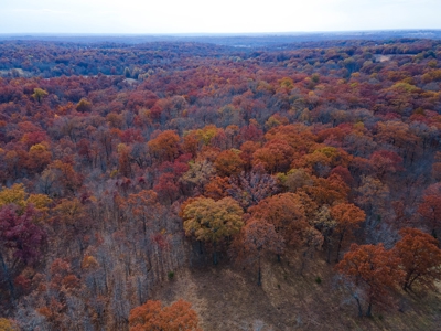 Hunting Property For Sale St. Clair County, MO - image 20