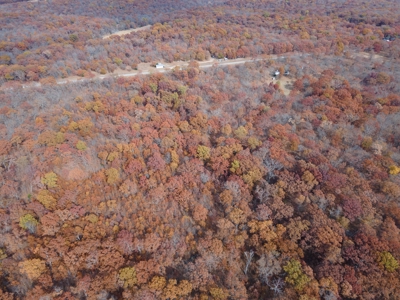 Hunting Property For Sale St. Clair County, MO - image 9