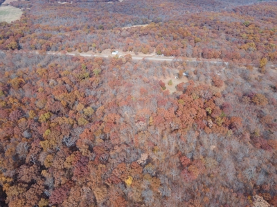 Hunting Property For Sale St. Clair County, MO - image 10