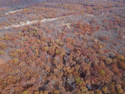 Hunting Property For Sale St. Clair County, MO - image 8