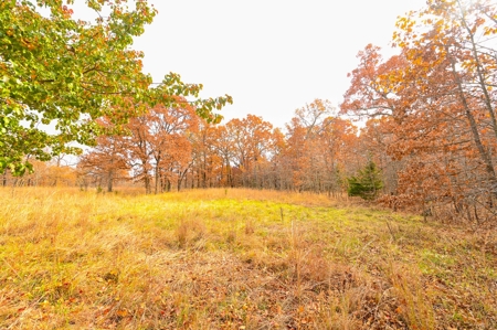 Hunting Property For Sale St. Clair County, MO - image 27