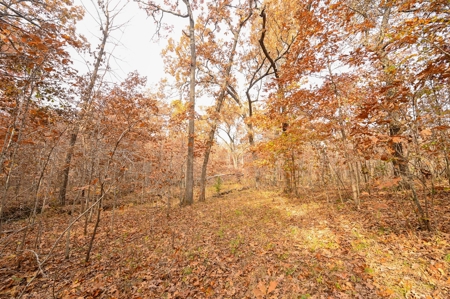 Hunting Property For Sale St. Clair County, MO - image 23