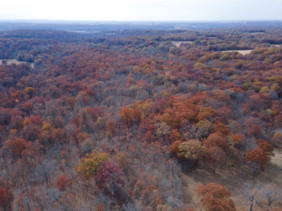Hunting Property For Sale St. Clair County, MO - image 17