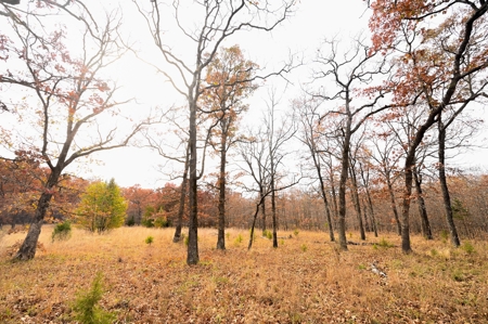 Hunting Property For Sale St. Clair County, MO - image 30