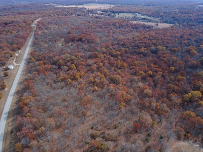 Hunting Property For Sale St. Clair County, MO - image 4