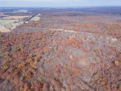 Hunting Property For Sale St. Clair County, MO - image 12