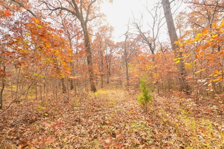 Hunting Property For Sale St. Clair County, MO - image 22